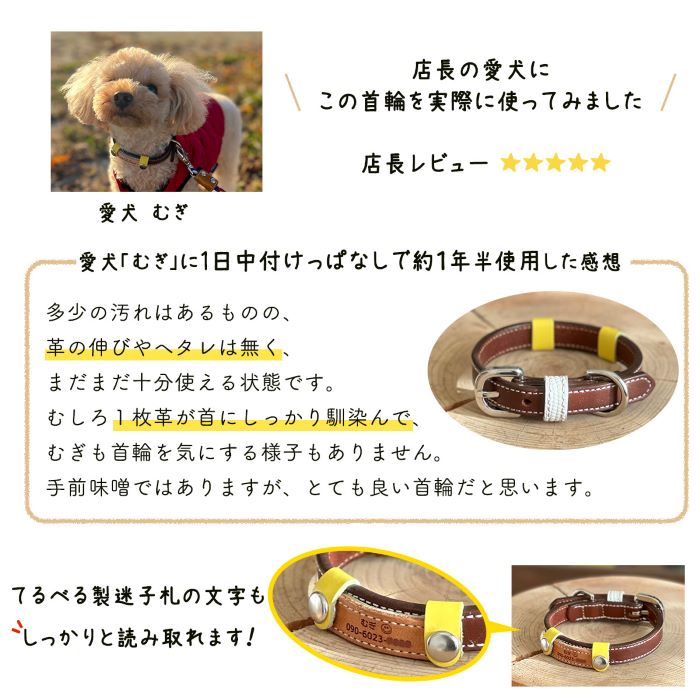 犬 首輪 いぬ 小型犬 犬首輪