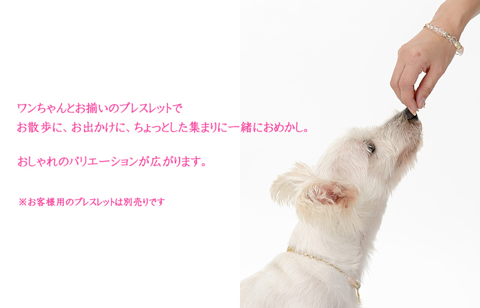 飼い主とお揃いで着けられる天然石の愛犬用アクセサリー 迷子札付き 天使の輪 ピンク ローズクォーツ パワーストーン 愛犬のおしゃれに犬用ネックレス ネームタグ Idタグ 犬の首輪屋てるべる