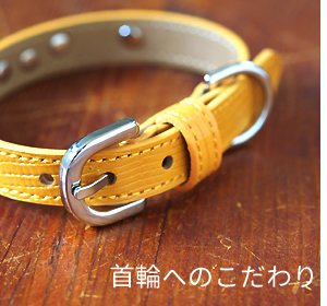 首輪へのこだわり