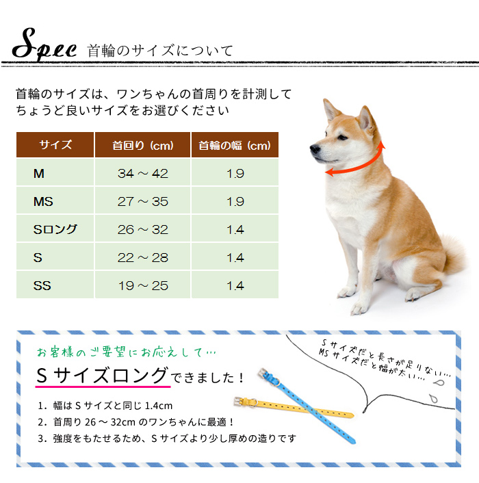 首輪サイズの測り方 【犬の首輪屋てるべる】本革製のオリジナル犬首輪とリードの通販専門店