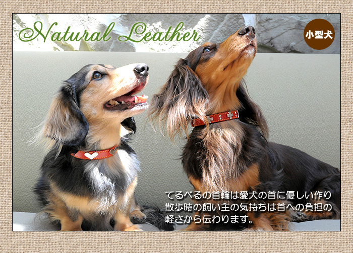 送料無料】犬の首輪/いぬ☆ハートが可愛い、憧れの本革製小型犬用犬首輪<br>ハートカラー（レザー）