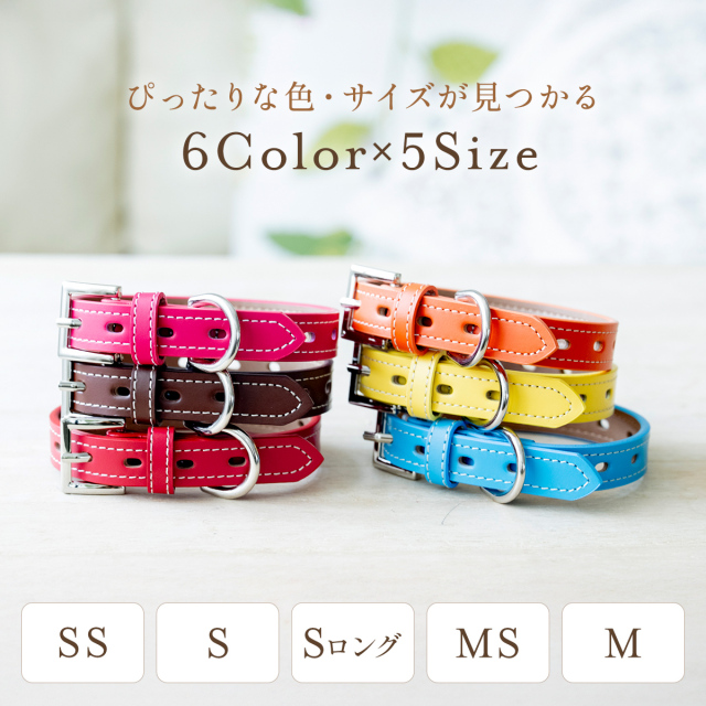 犬首輪 おしゃれ 本革