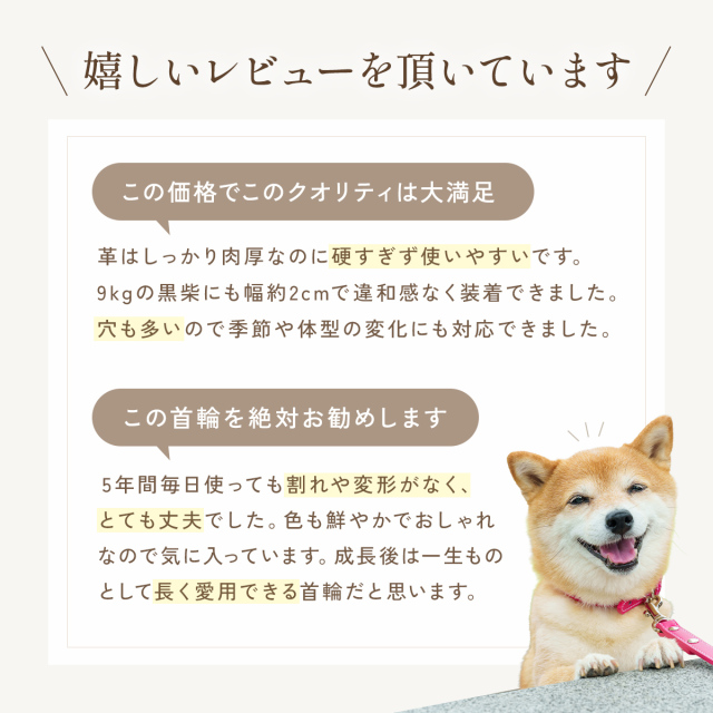 犬首輪 トイプードル