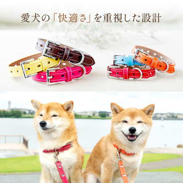 犬首輪 かわいい 本革