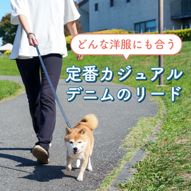 犬 リード