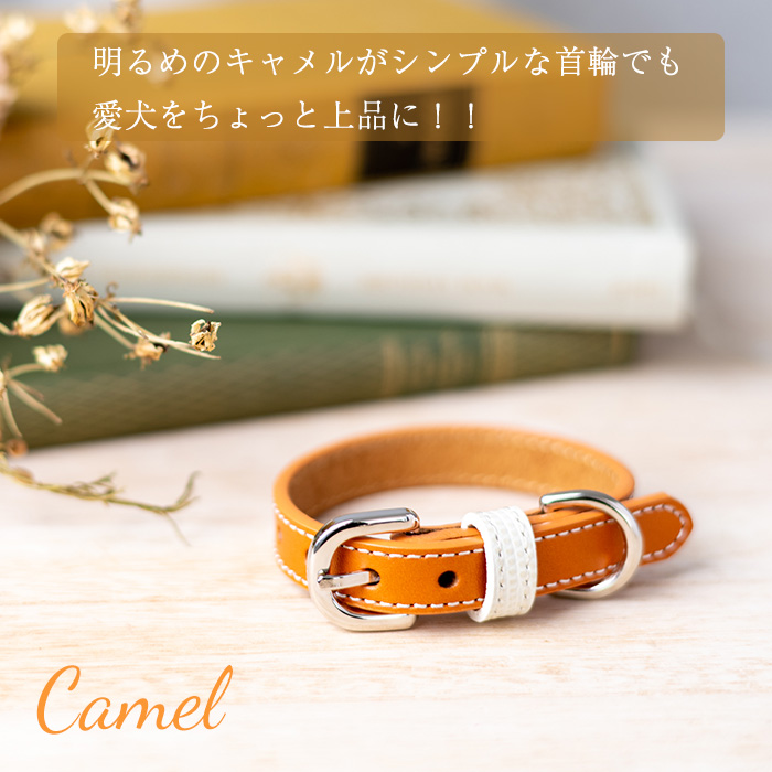 MCM わんちゃん用首輪 ブラウンxs レザー【希少】 MCM わんちゃん用首輪 ブラウンxs レザー【希少】