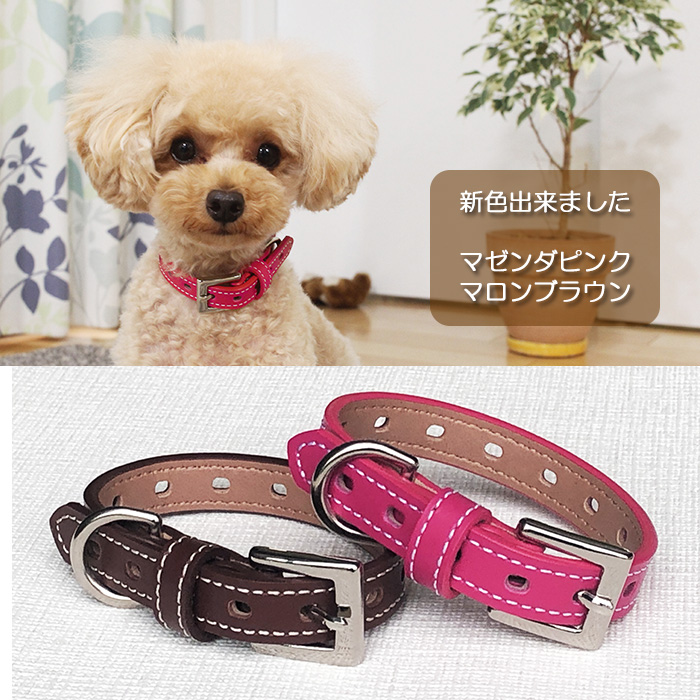 犬首輪 かわいい 本革