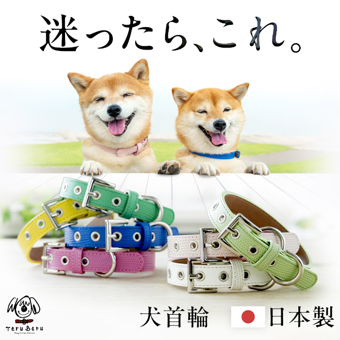 本革製 小型犬 中型犬 犬 首輪