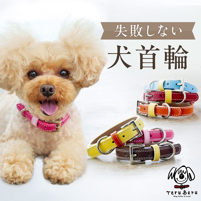 OT-M3 ☆本格レザーの中型犬・小型犬用犬首輪