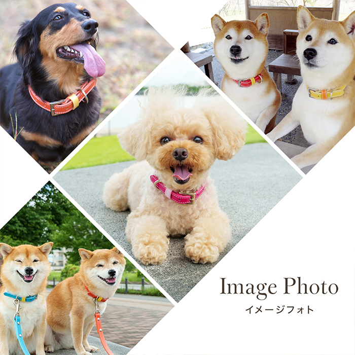 OT-M3 ☆本格レザーの中型犬・小型犬用犬首輪