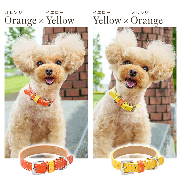 OT-M3 ☆本格レザーの中型犬・小型犬用犬首輪