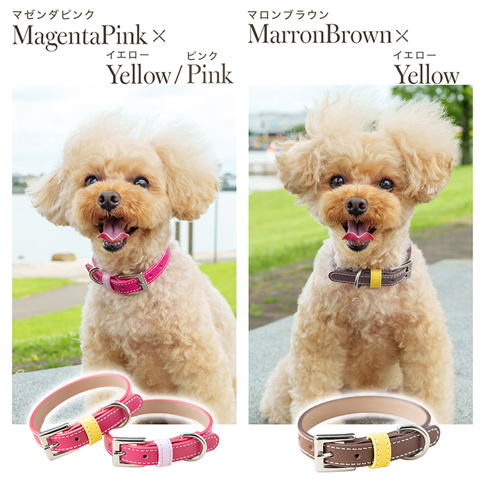 OT-M3 ☆本格レザーの中型犬・小型犬用犬首輪