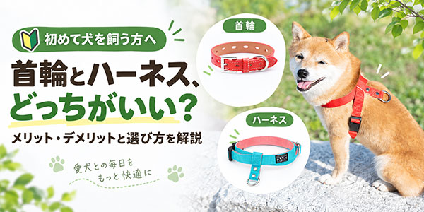 初めて犬を飼う方へ 首輪とハーネス、どっちがいい？メリット・デメリットと選び方